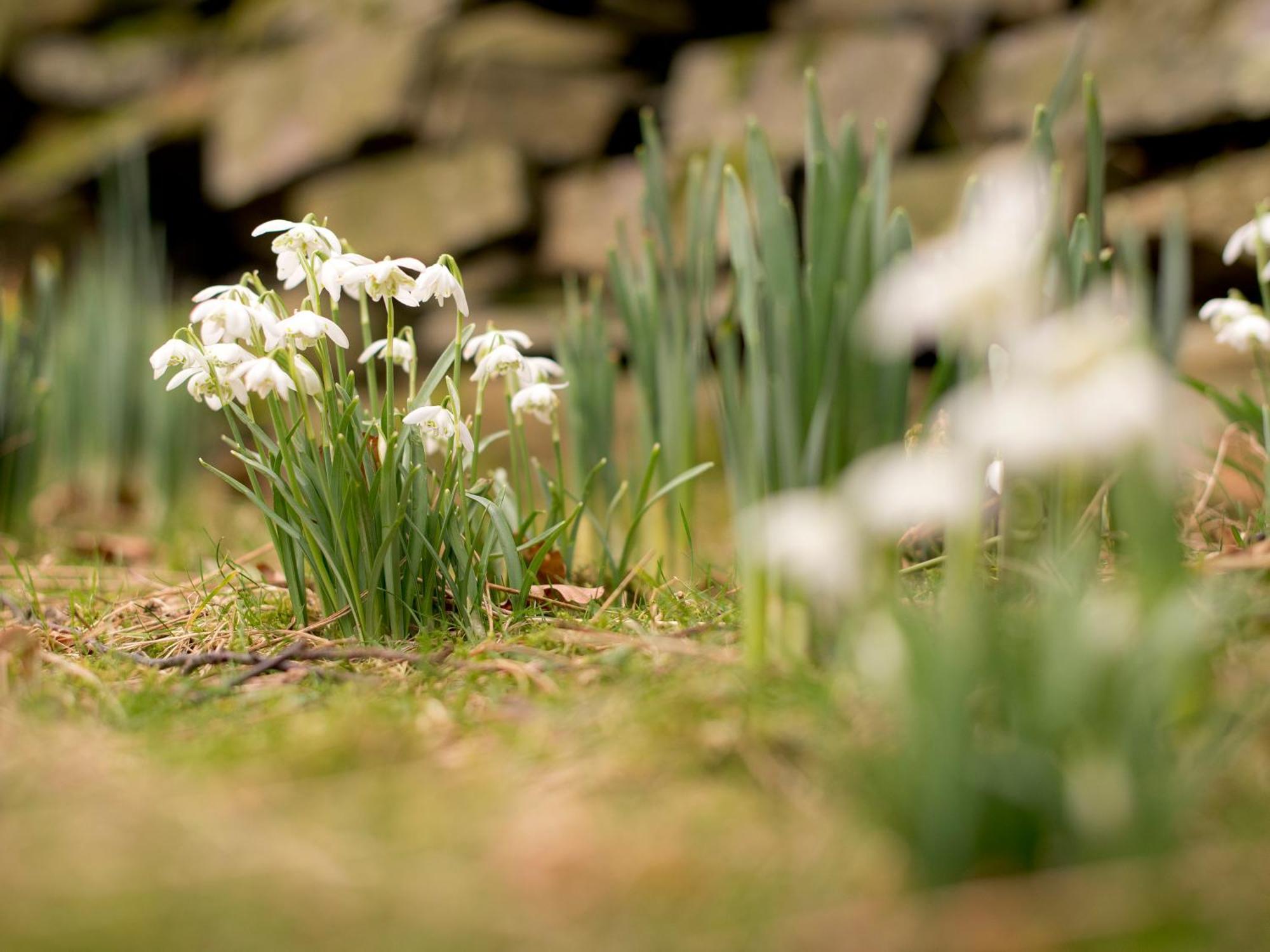 Yha Buttermere Dış mekan fotoğraf